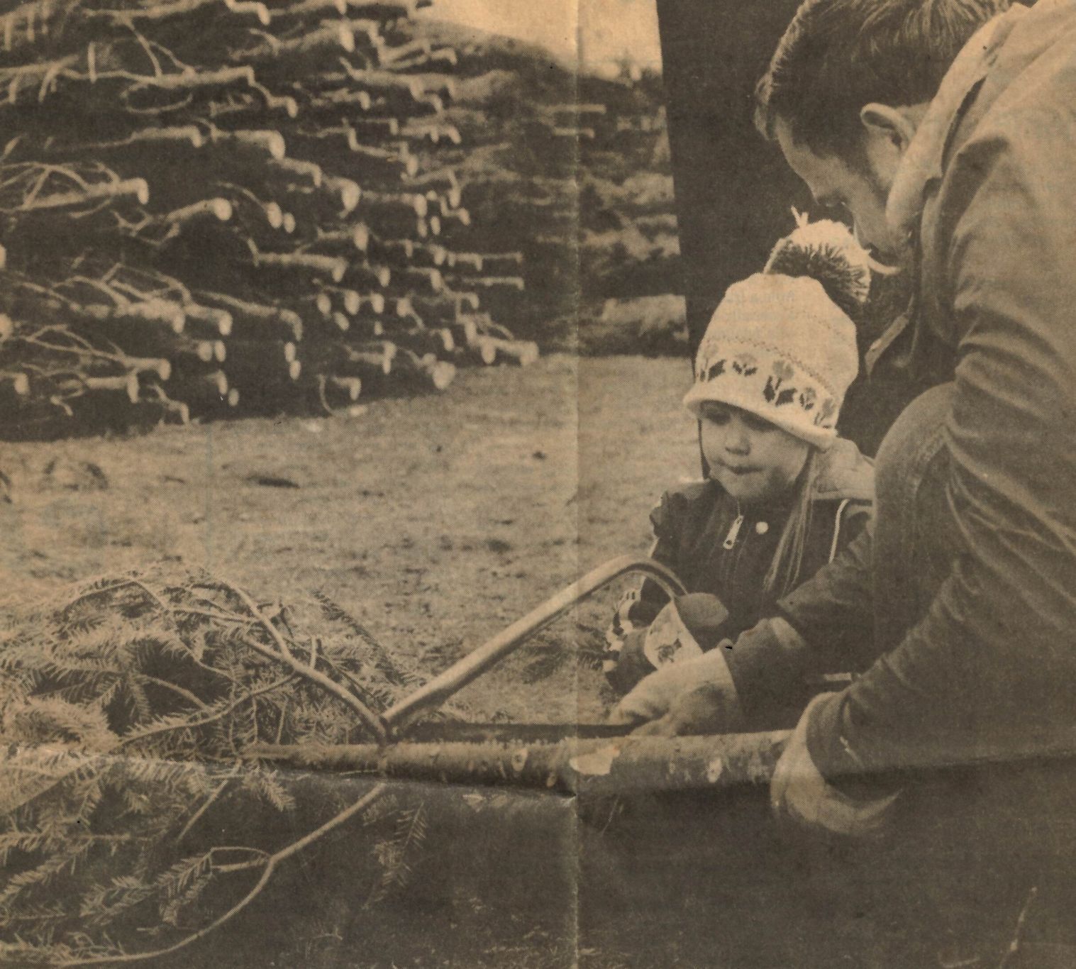 1979: Christmas tree lot